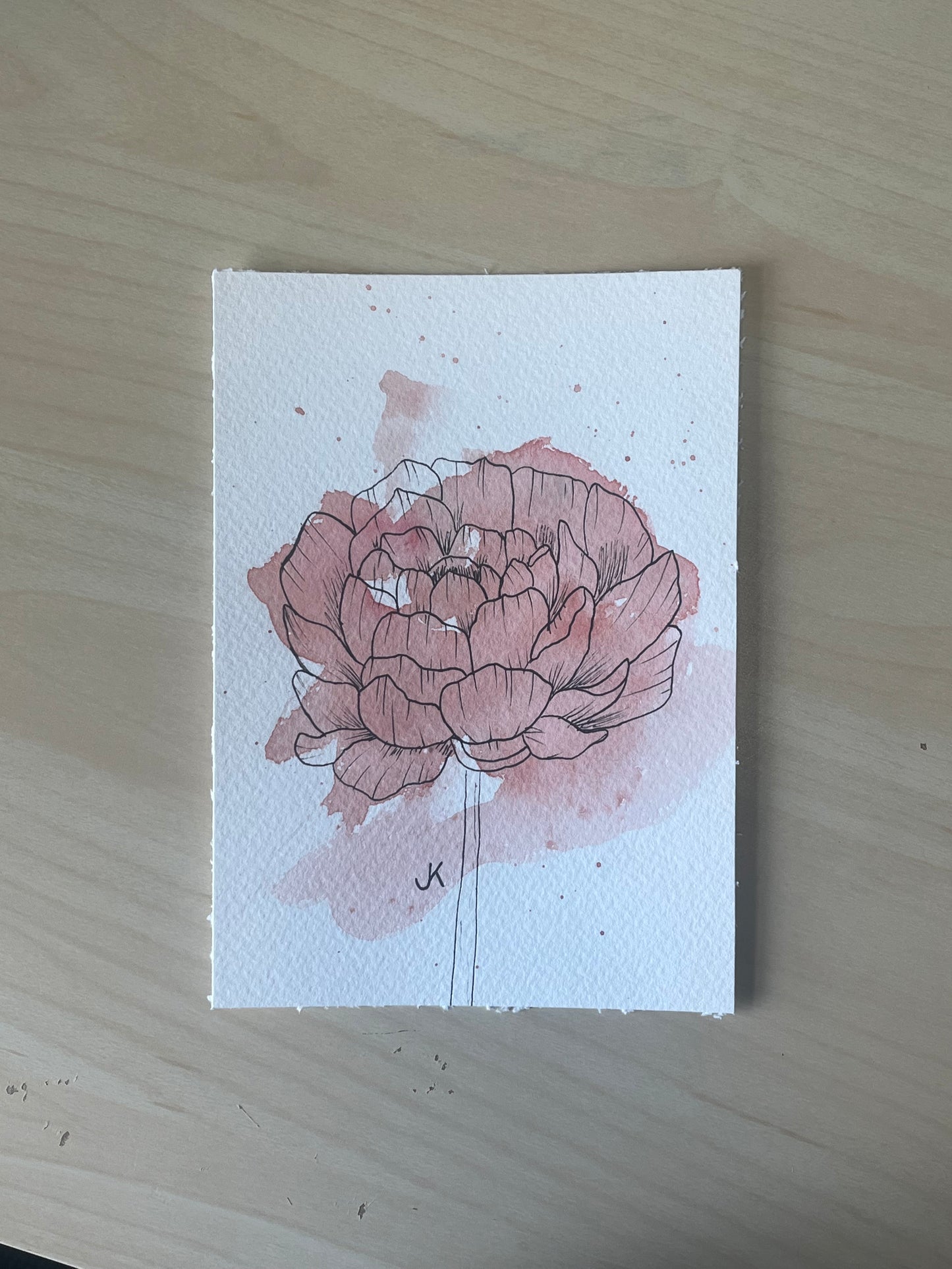 Floral Blush: Original watercolor painting and floral outline of a Peony bloom